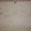 DSC02178