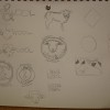 DSC02179