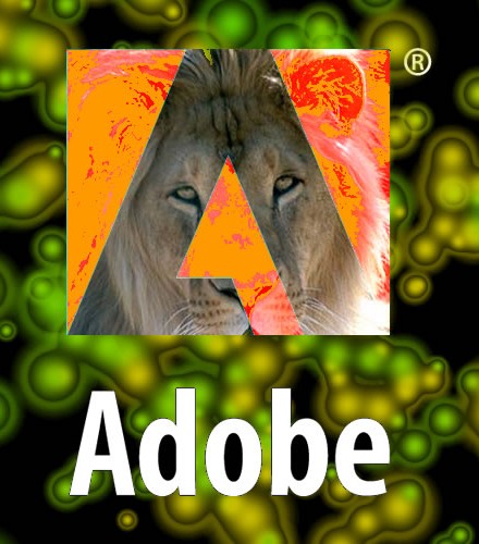 CS5andLION